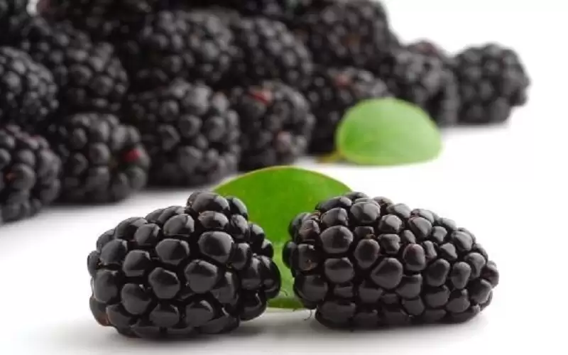 هؤلاء الأشخاص لا يجب أن يتناولوا