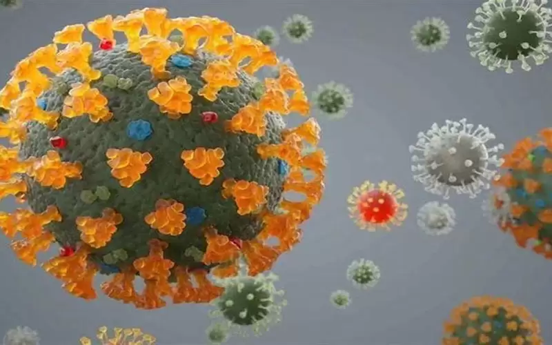 الهند تكشف عن لقاحين فعالين ضد