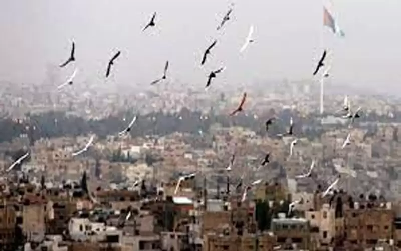 كتلة هوائية حارة تؤثر على المملكة