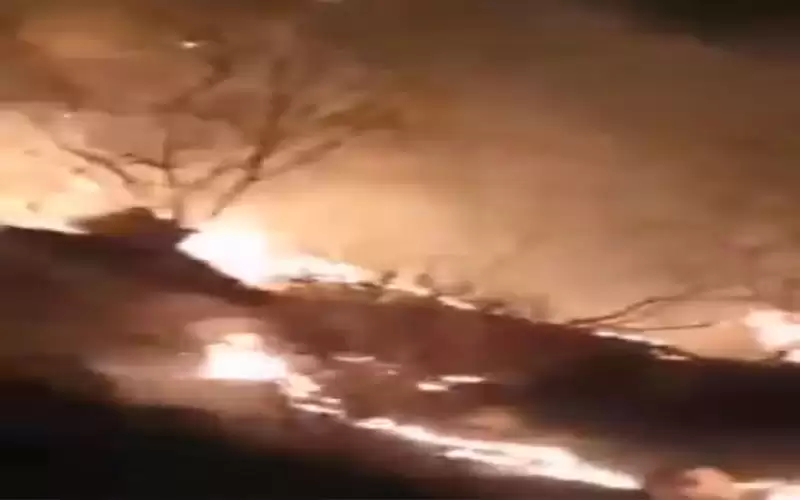 الزراعة: حريق جرش ليس بمنطقة حرجية