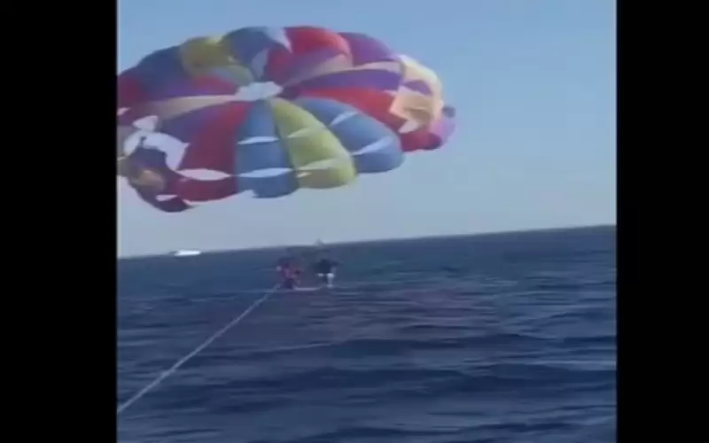 أردني يروي تفاصيل هجوم قرش عليه