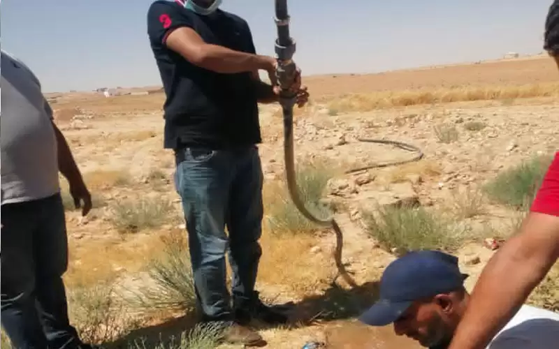 المياه تضبط 7 اعتداءات جديدة بالموقر