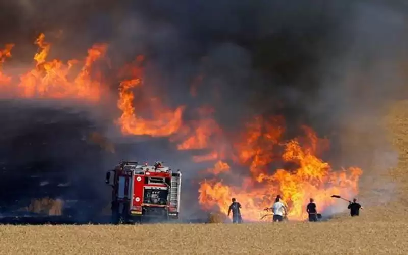 8 آلاف حريق غابات في الأردن