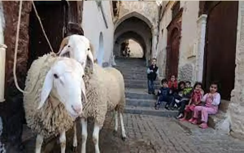 مركز الفلك يحدد أول أيام عيد