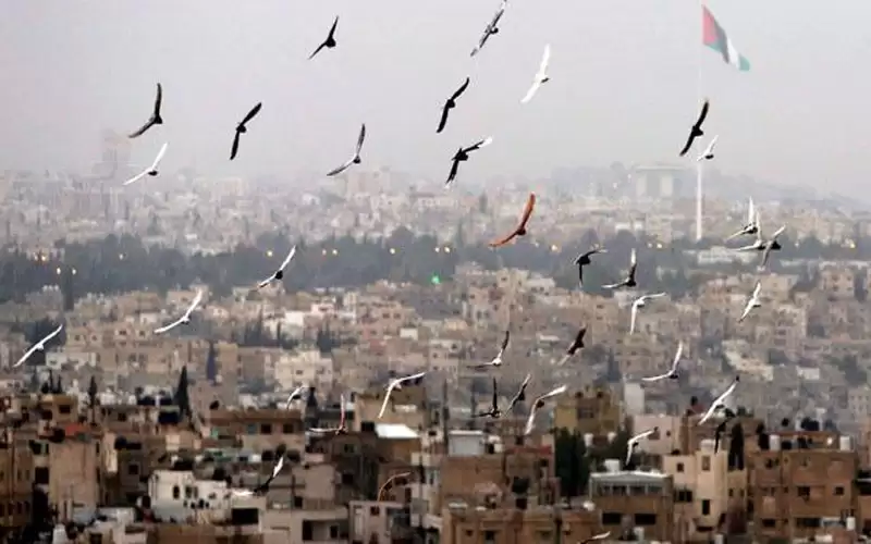 أجواء حارة نسبيا