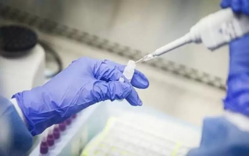 فحص كورونا مجاني للقادمين إلى العقبة