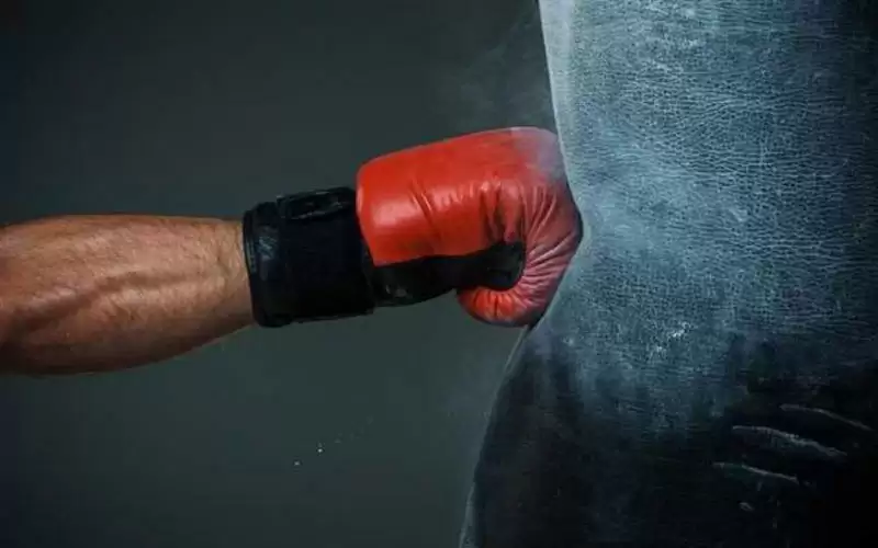 منتخب الملاكمة يختتم معسكره بأميركا ويستعد