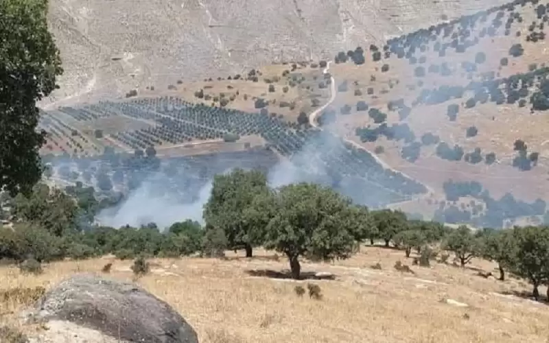 حريق 100 دونم في إربد