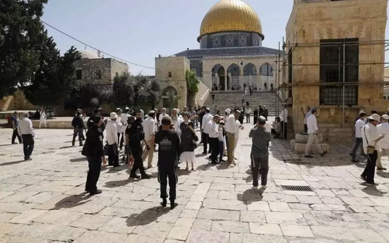 84 مستوطنا يقتحمون الأقصى