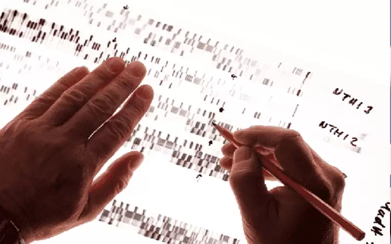 الصحة العالمية تحذر من التلاعب بالجينوم