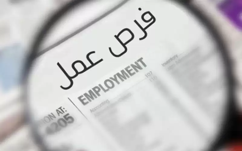 العمل تعلن عن توفر 500 فرص