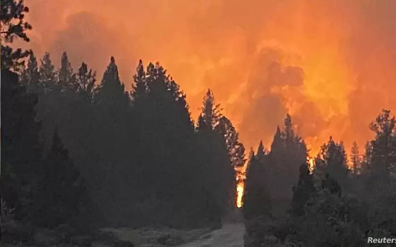 الحرائق تلتهم عشرات آلاف الهكتارات في