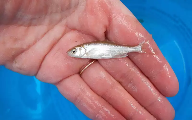 العراق: قتيلان وجرحى بنزاع عشائري مسلح