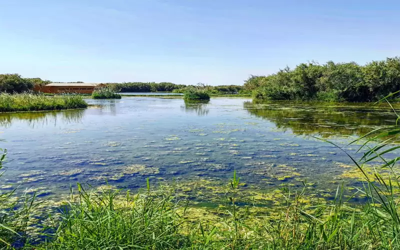 (يلا عالاردن) يتصدر تويتر
