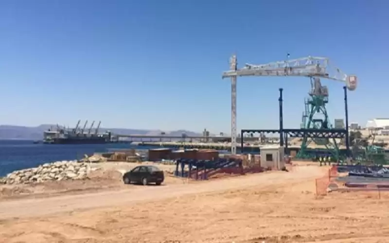 العقبة تستقبل 960 ألف رأس غنم