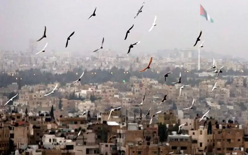 الحرارة أعلى من معدلاتها بـ8 درجات