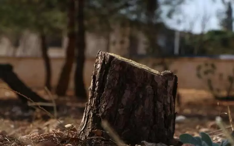 الاعتداء على موظف بحراج عجلون خلال