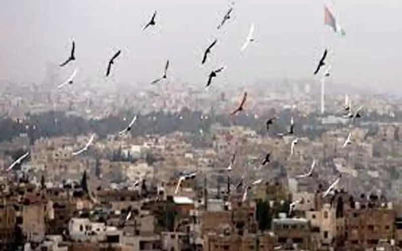 أجواء صيفية في المرتفعات والسهول وحارة