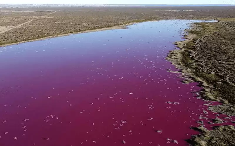 بحيرة تثير الهلع في الأرجنتين