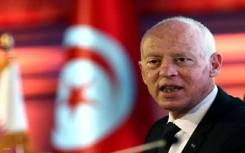 سعيد يدعو التونسيين للهدوء وعدم الخروج