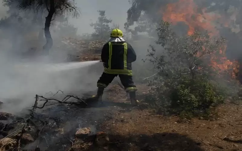 الرياح السريعة ساهمت بانتشار حريق الباقورة