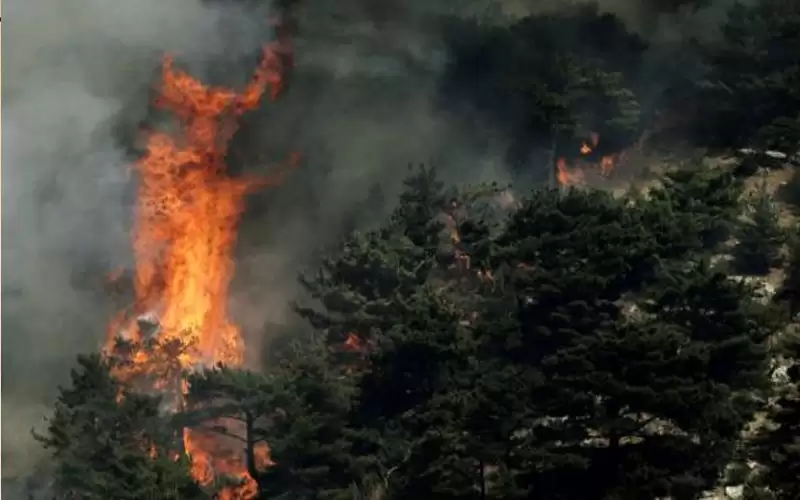 لبنان يكافح لاحتواء حرائق ضخمة مستمرة