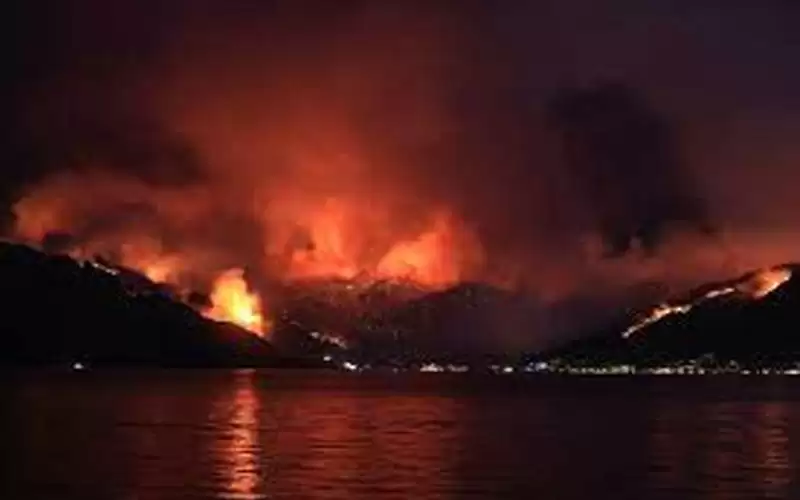 توجيهات ملكية بتقديم المساعدة لتركيا في