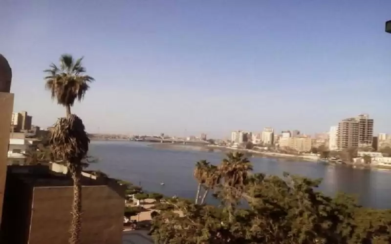 مصر .. أنباء عن خروج تمساح