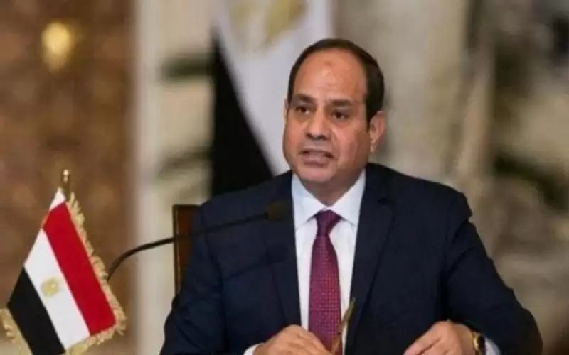 السيسي: حصة مصر من النيل لن