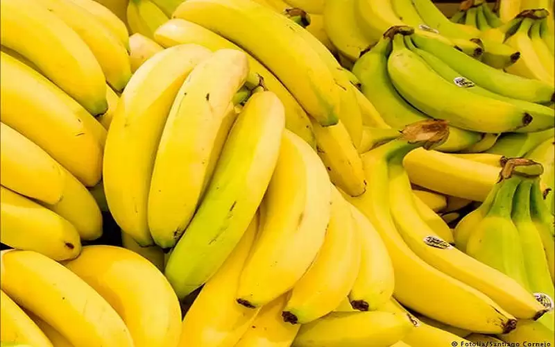 6 أطعمة غنية بالألياف.. تعرف عليها