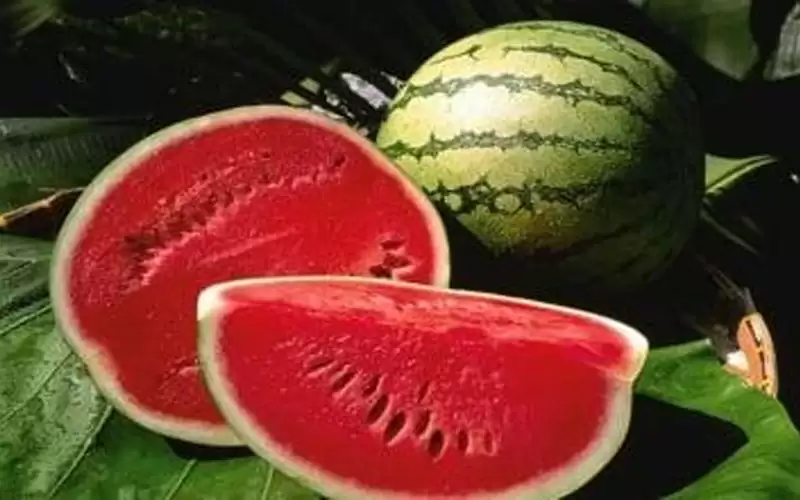 خبير يحذر من شراء هذا النوع