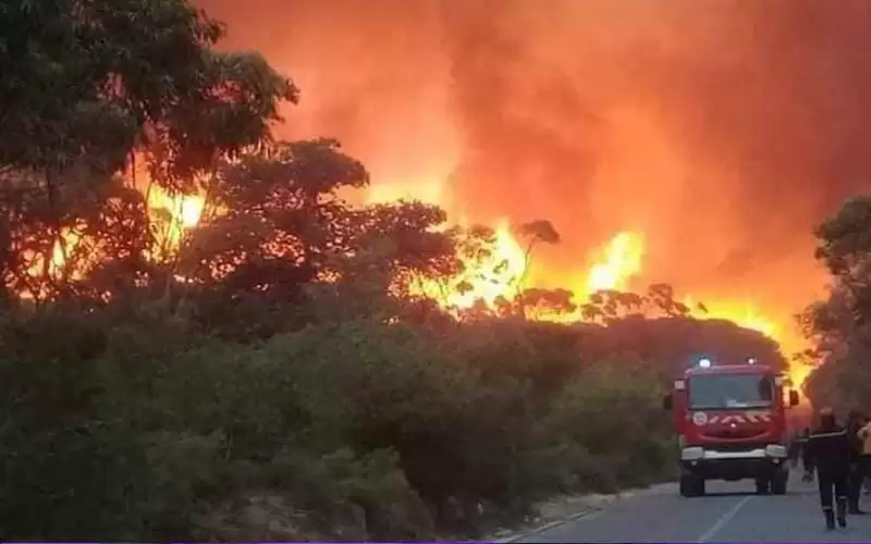 الاردن يعزي بضحايا حرائق الجزائر