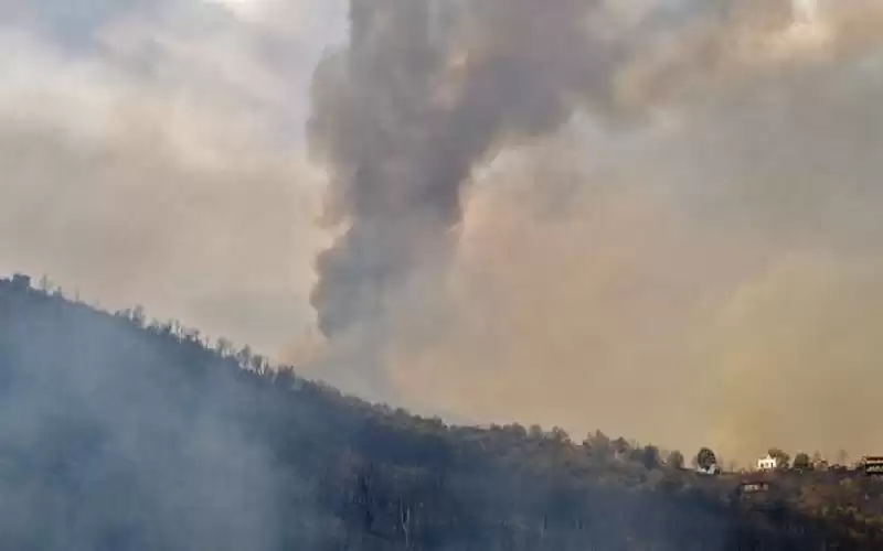 تونس تعرض المساعدة لإخماد الحرائق في