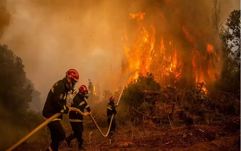 بالفيديو .. استغاثة جندي جزائري وسط