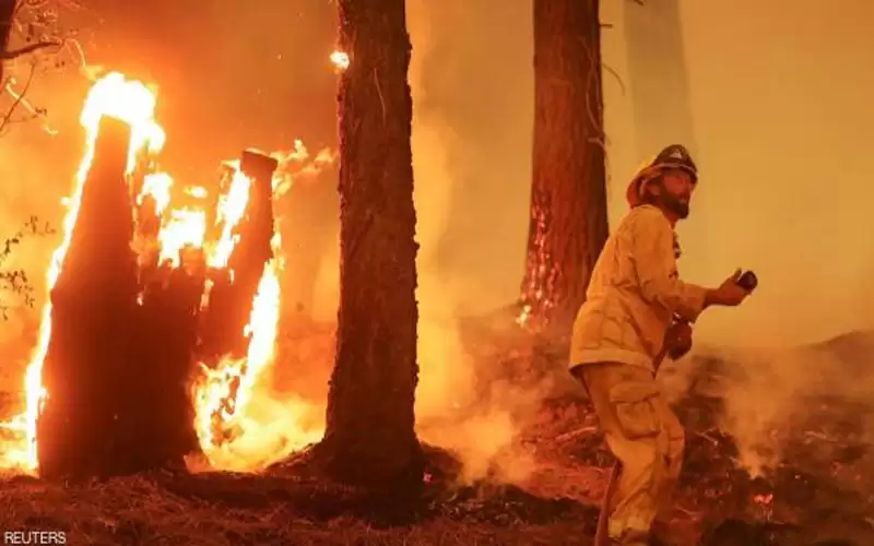 حرائق العالم .. حوض البحر المتوسط