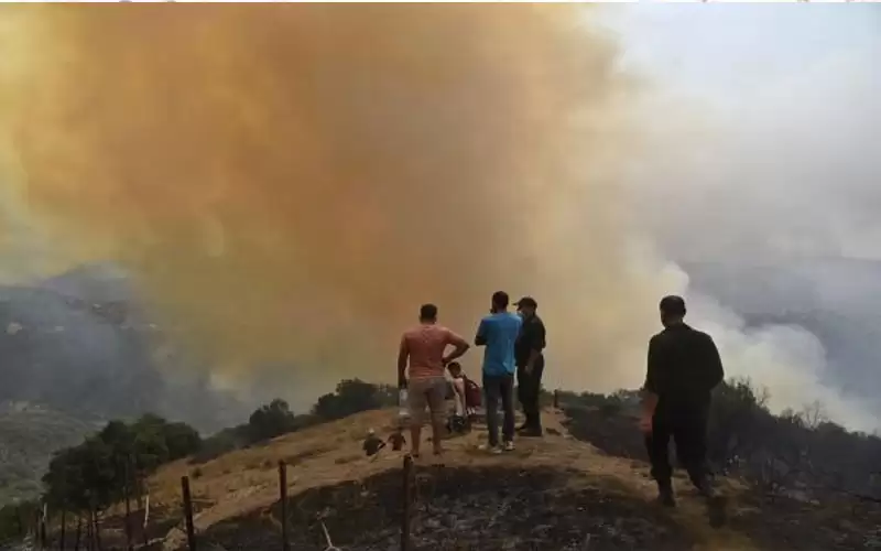 الجزائر .. القبض على 22 شخصا