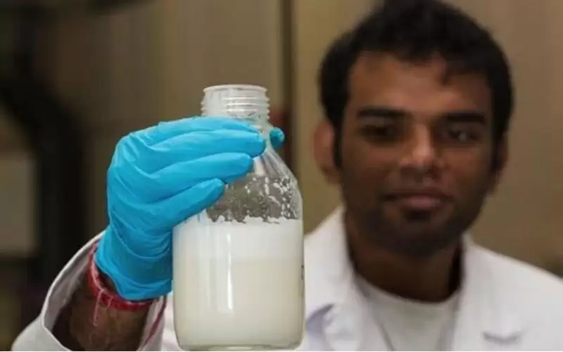 فطريات بدل الأبقار لإنتاج ألبان في