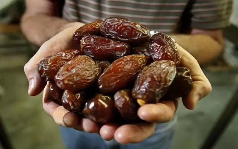 الزراعة: تتبعنا منتج التمر الأردني ولا