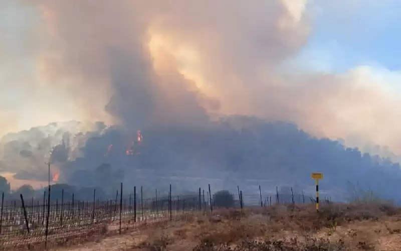 حرائق القدس تلهم 17 الف دونم