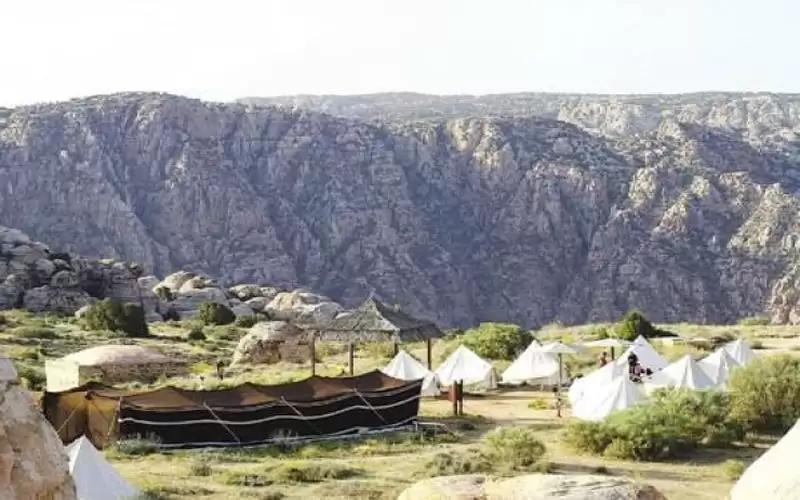 ما علاقة حرائق الغابات بكورونا؟ الدراسة