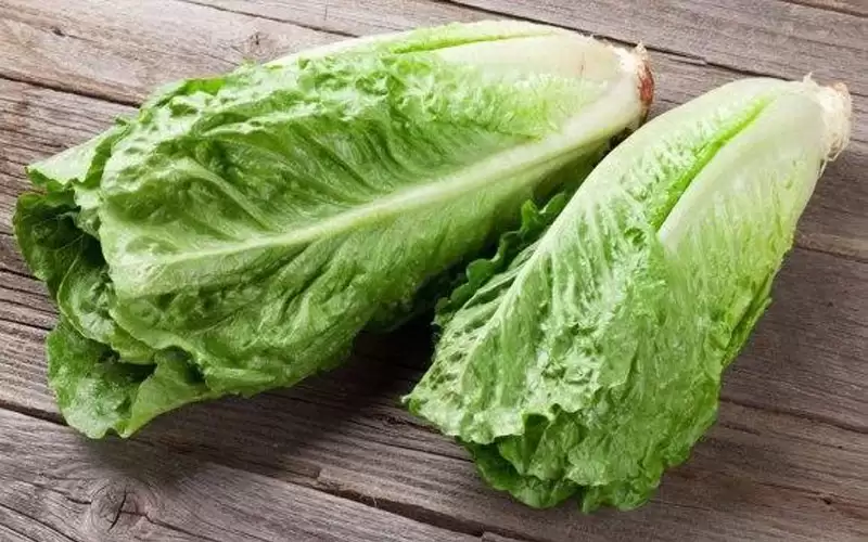 ستذهلك.. فوائد الخس لمريض السكري