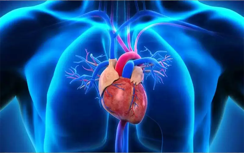 هل يعيق فشل القلب الحياة اليومية؟