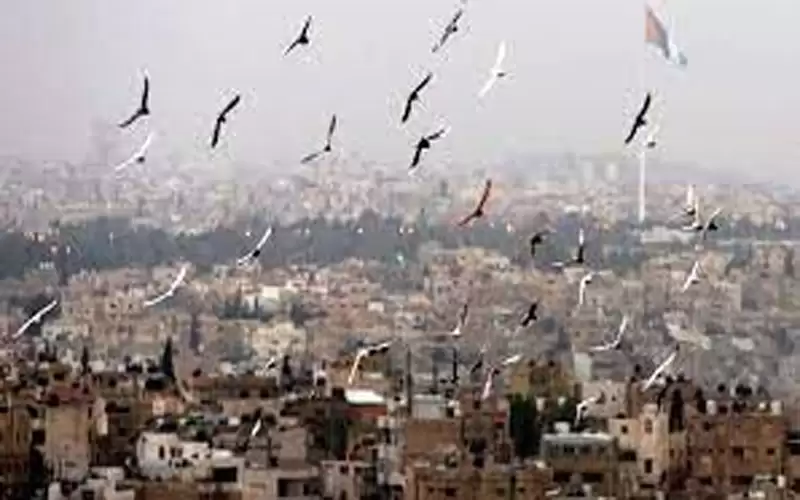 الحرارة تستمر أقل من معدلاتها