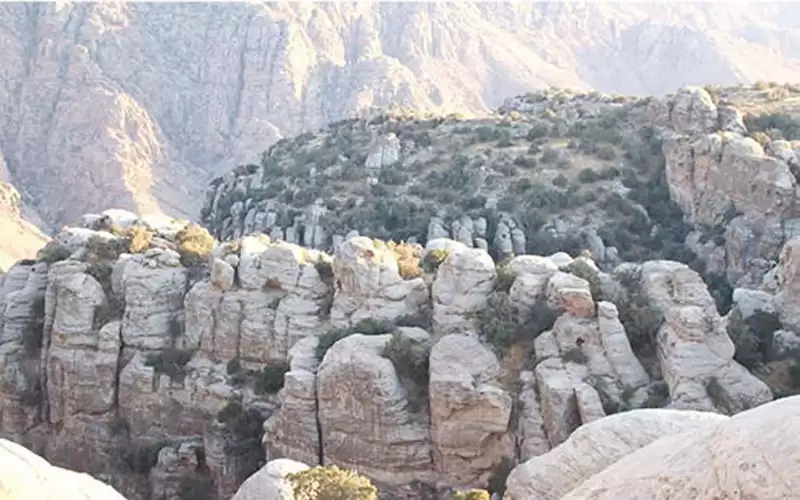 نقابة الجيولوجيين تؤيد تعديل حدود ضانا