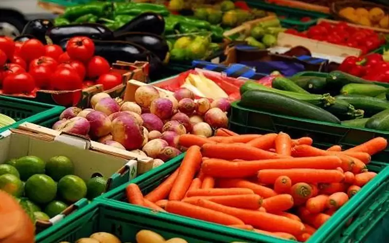 ما هي سنة الراحة اليهودية وكيف