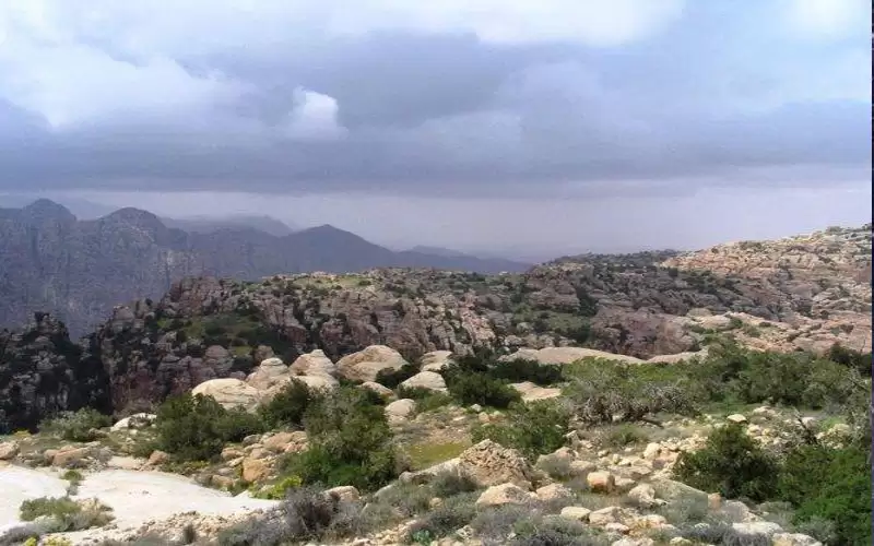 محادين: استهداف ضانا استهداف للامن القومي