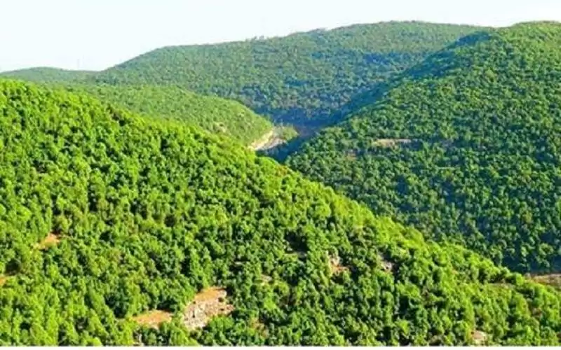 محافظ عجلون: لا تهاون مع المتسببين