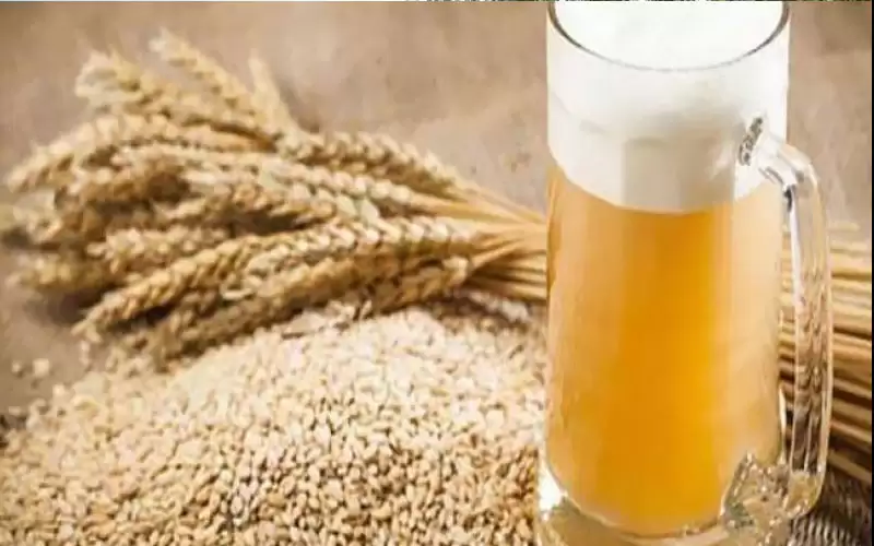 هذا ما يفعله الشعير في كلية