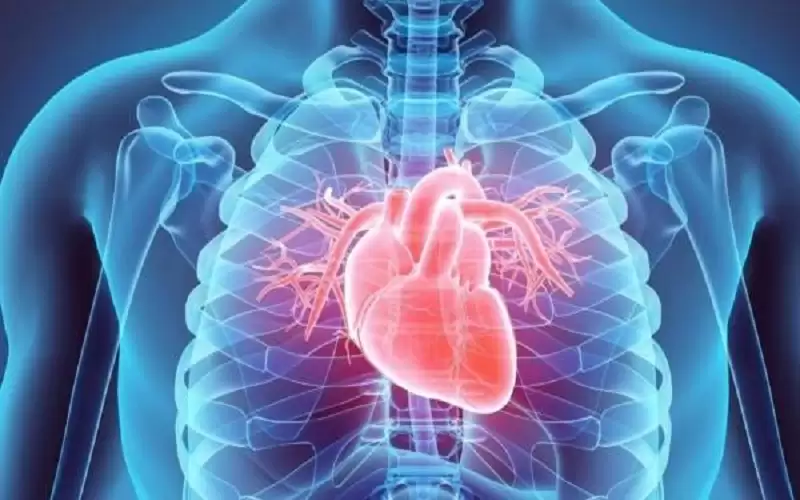 6 عادات تؤذي القلب .. تعرف