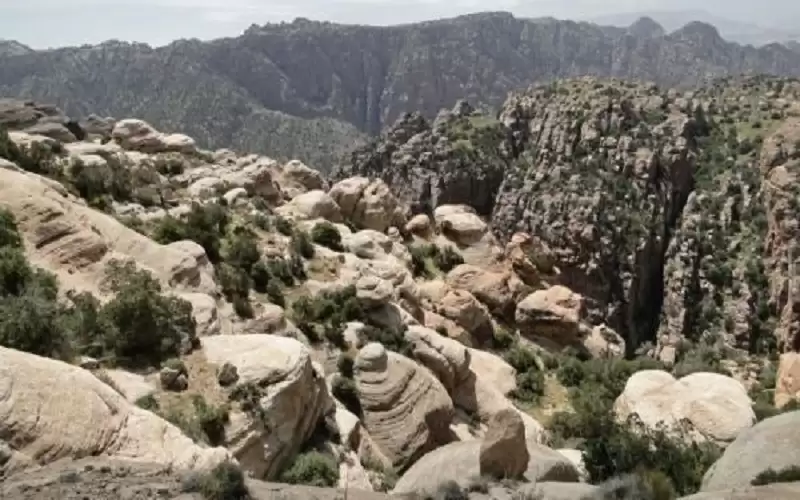 النسور: النحاس موجود في الجانب الشرقي